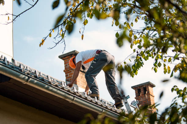 Best Roof Gutter Cleaning  in Shell Ridge, CA