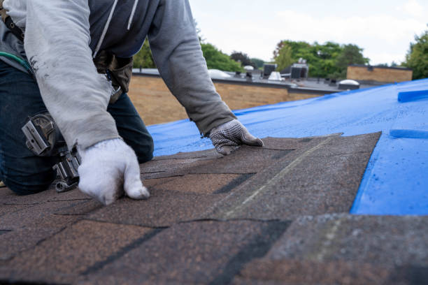 Best Local Roofing Companies  in Shell Ridge, CA