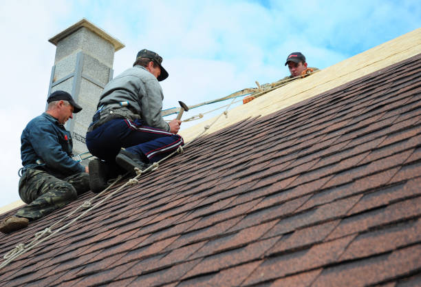 Professional Roofing Contractor in Shell Ridge, CA